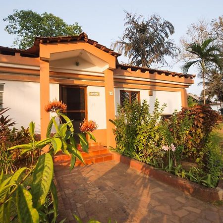 קייבלוסים Villa Sunflower מראה חיצוני תמונה