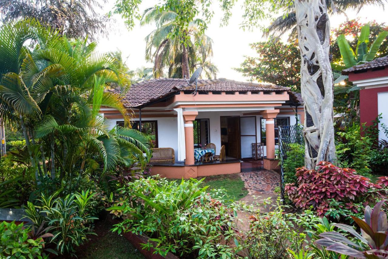 קייבלוסים Villa Sunflower מראה חיצוני תמונה