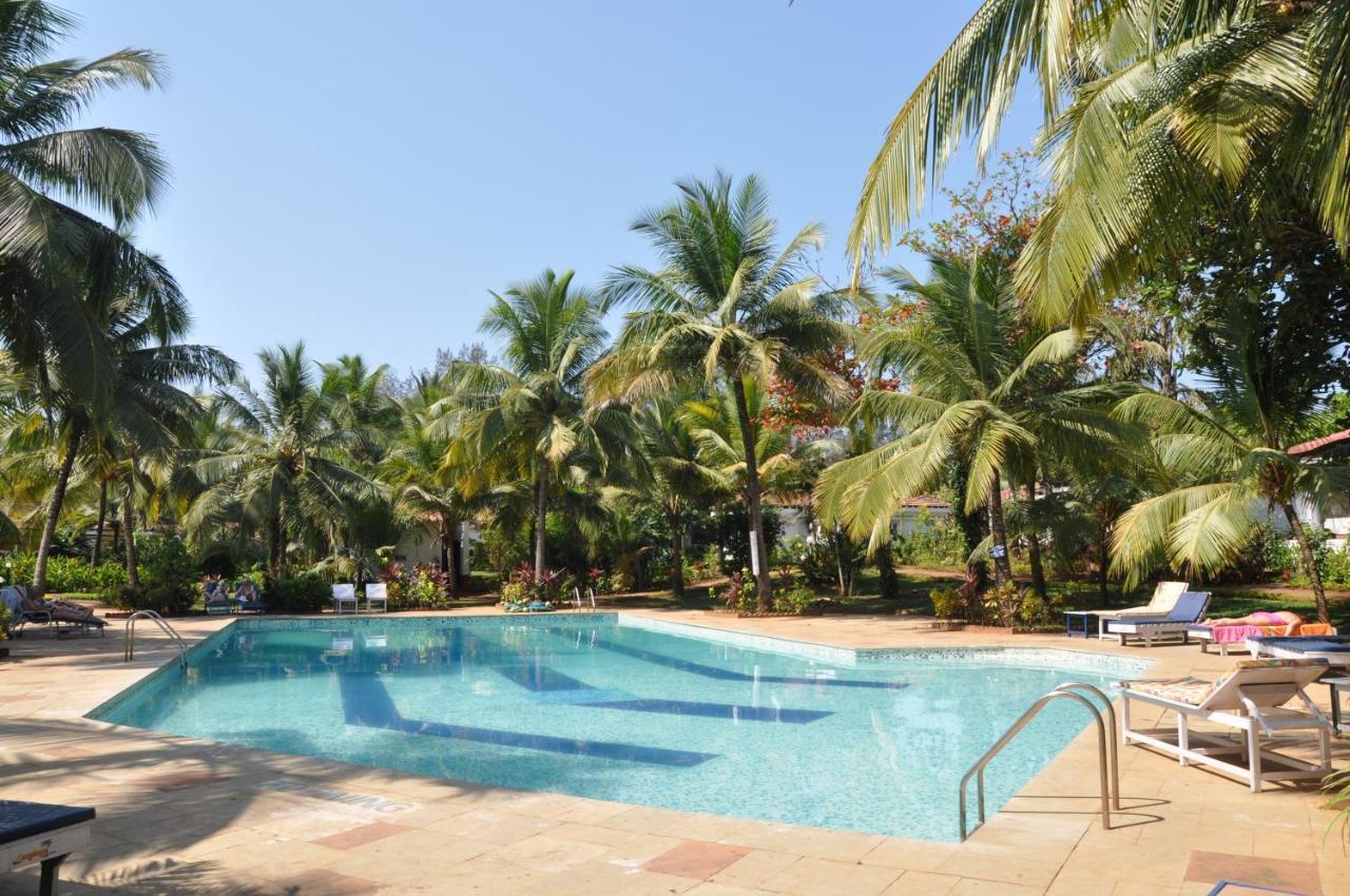 קייבלוסים Villa Sunflower מראה חיצוני תמונה