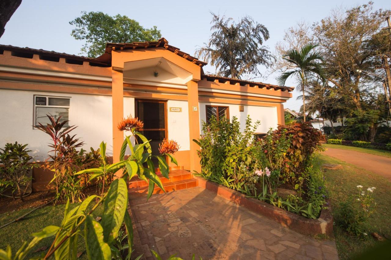 קייבלוסים Villa Sunflower מראה חיצוני תמונה